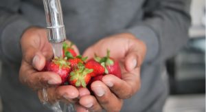 FAQs about cleaning strawberries