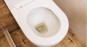 How to Clean Toilet Stains?