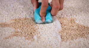 Importance of How to Clean Sick Off Carpet