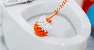 Step-by-step Guide on How to Clean a Toilet Brush