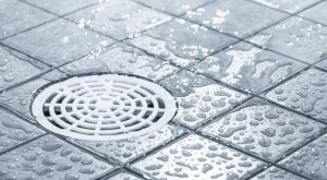 Tips for Preventing Future Clogs in Shower Drain