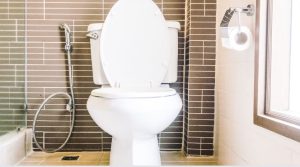 Tips for Preventing and Removing Toilet Stains