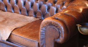 Types of Leather Sofas