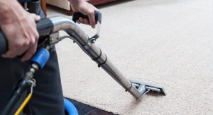 Vacuuming the Carpet Thoroughly