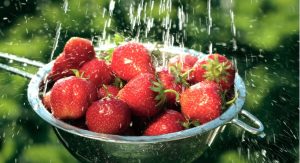 Washing strawberries with vinegar