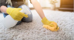 Why Cleaning Your Carpet is Important?