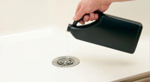 Why a Clean Shower Drain is Important?